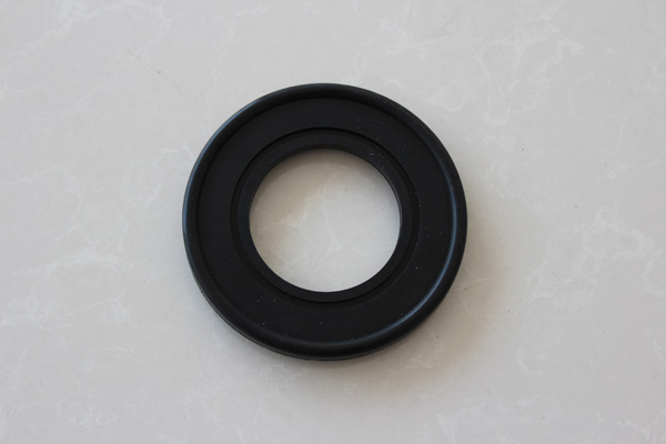 Check valve ring