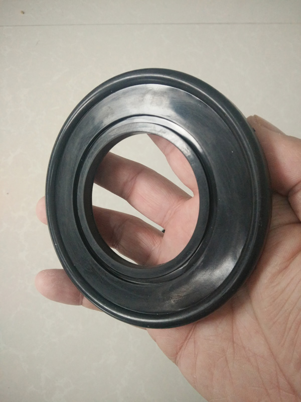 Check valve ring